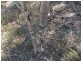 L5 Whitaker Road, Nanango QLD 4615