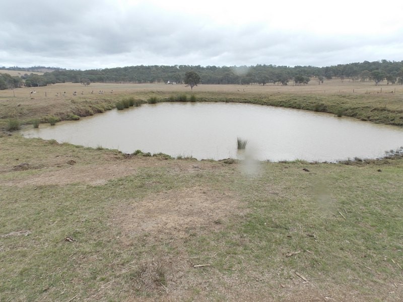 125 Runnymede Estate Road, Nanango QLD 4615