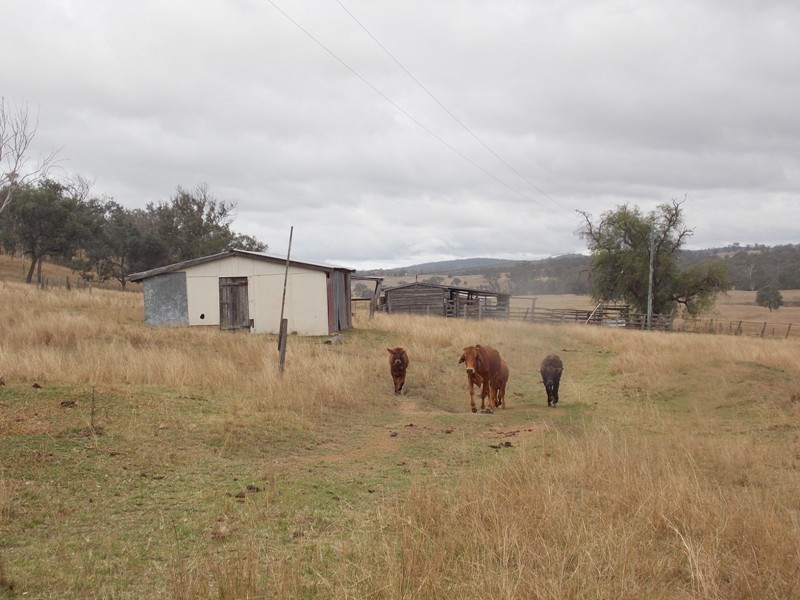125 Runnymede Estate Road, Nanango QLD 4615