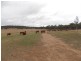 125 Runnymede Estate Road, Nanango QLD 4615