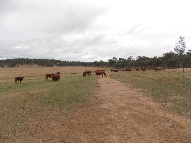 125 Runnymede Estate Road, Nanango QLD 4615