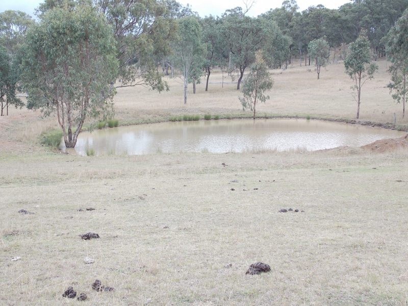 125 Runnymede Estate Road, Nanango QLD 4615