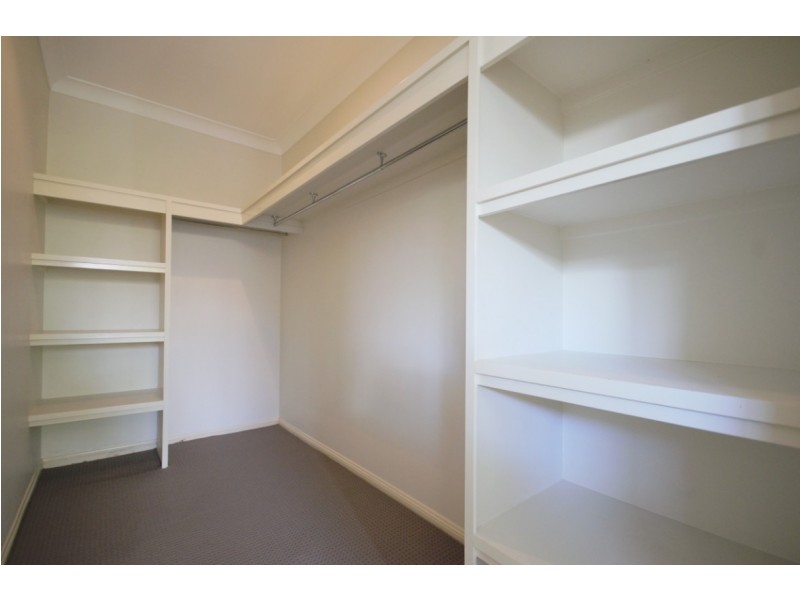 55 Ribonwood Street, Thornlands QLD 4164