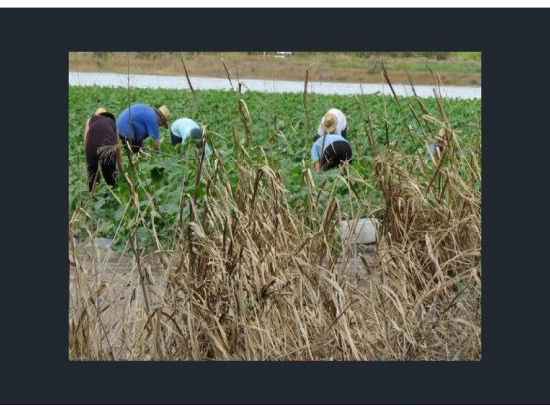 Lot 3 Lena Road, Mount Kelly QLD 4807