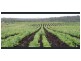 154 Drinan Road, Wallaville QLD 4671