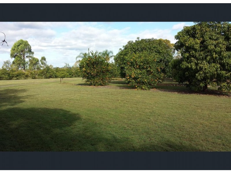 43 Lakeview Drive, Alloway QLD 4670