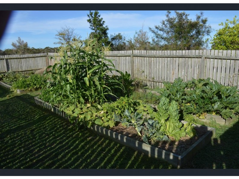 43 Lakeview Drive, Alloway QLD 4670