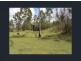 249 Stronachs Road, Wallaville QLD 4671