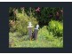 378 Ferry Hills Road, Wallaville QLD 4671