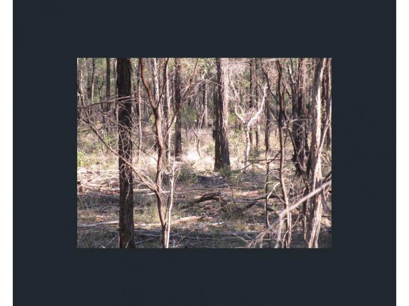 LOT 287 Happy Lane, Tara QLD 4421