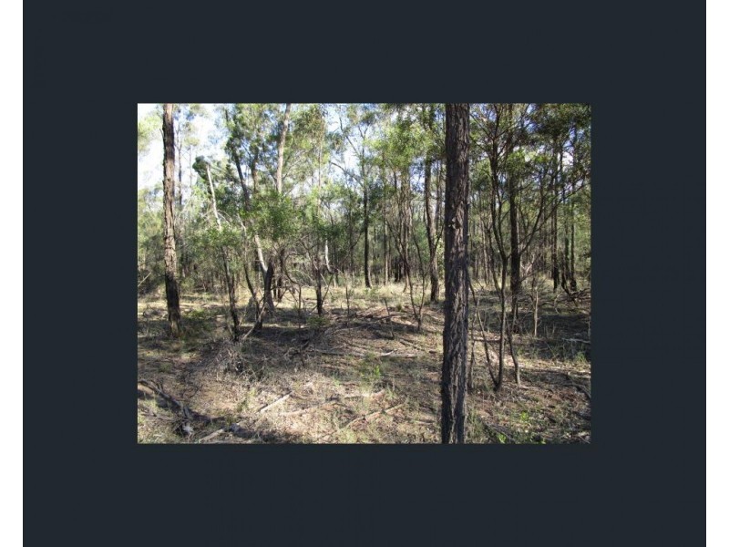 LOT 287 Happy Lane, Tara QLD 4421