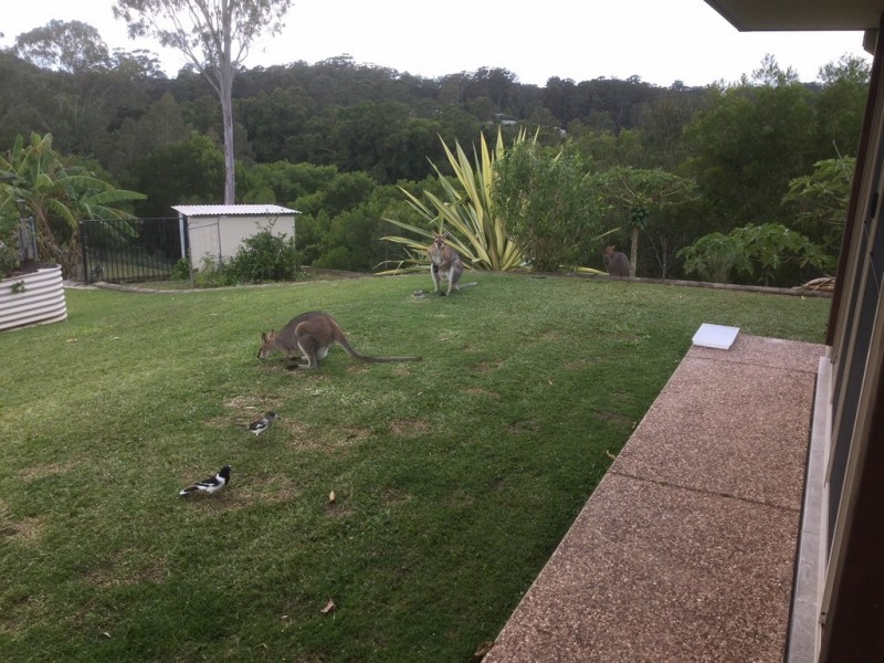 46 Wintergreen Way, Peachester QLD 4519