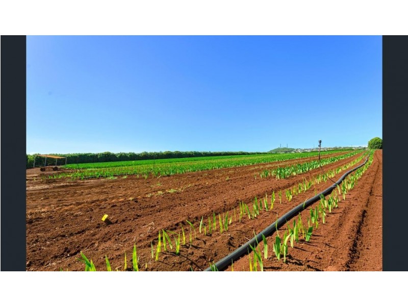 451 BARGARA RD, Qunaba QLD 4670