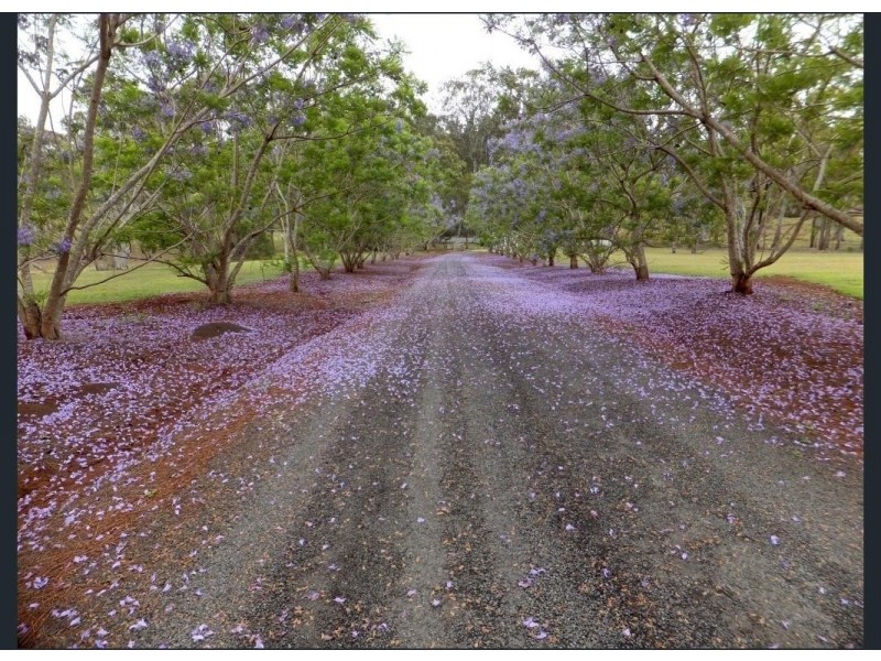 256 Butchers Road, South Isis QLD 4660