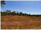 6 Oberon Court, Cooloola Cove QLD 4580