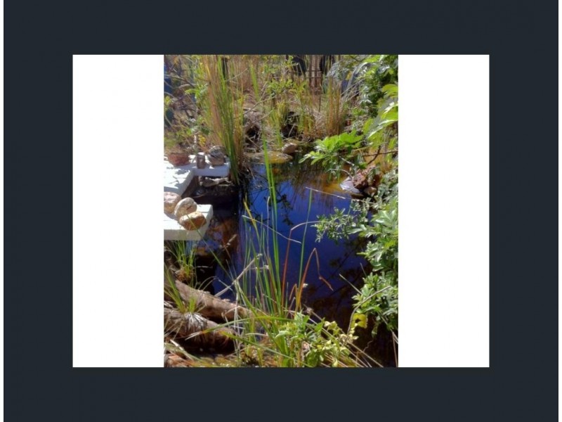 72 Brolga Street, Quilpie QLD 4480