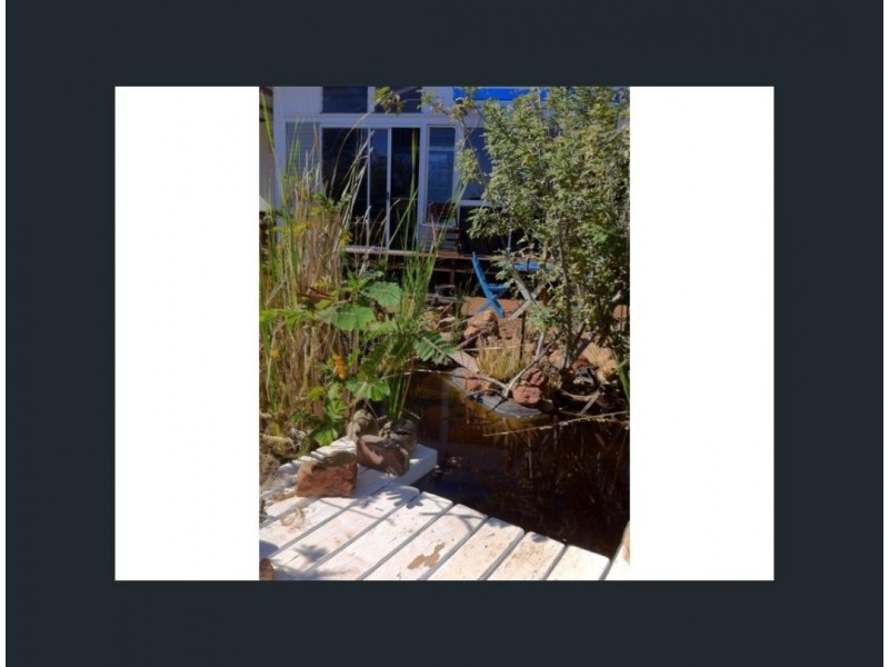 72 Brolga Street, Quilpie QLD 4480