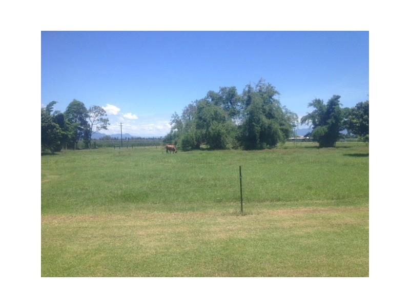 787 Upper Murray Road, Murray Upper QLD 4854