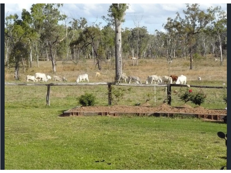 12920 Peak Downs Highway, Coppabella QLD 4741