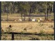 12920 Peak Downs Highway, Coppabella QLD 4741
