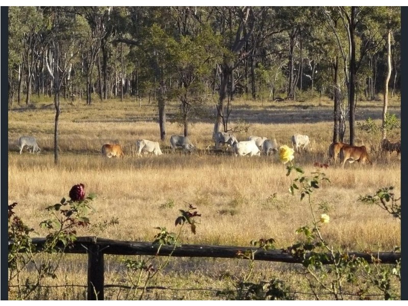 12920 Peak Downs Highway, Coppabella QLD 4741