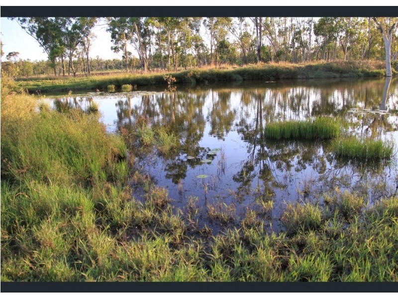 12920 Peak Downs Highway, Coppabella QLD 4741