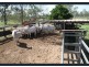 12920 Peak Downs Highway, Coppabella QLD 4741