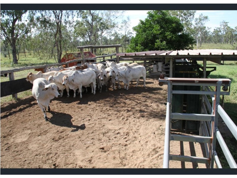 12920 Peak Downs Highway, Coppabella QLD 4741