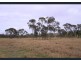 12920 Peak Downs Highway, Coppabella QLD 4741
