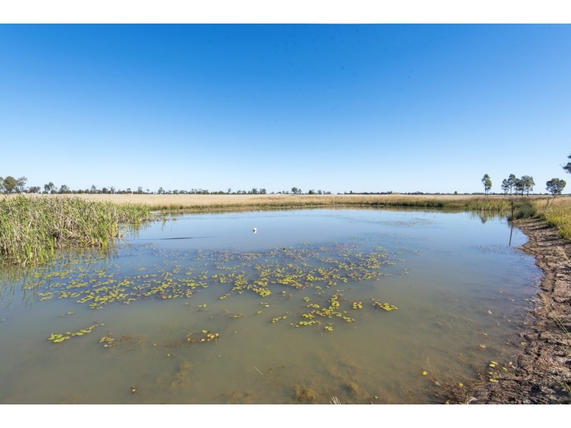 47 Mckenzie Street, Millmerran QLD 4357