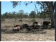 351 Montrose Lane, Greymare QLD 4370