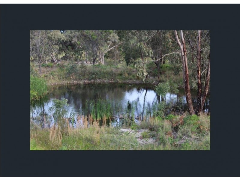 96 Browns Lane, Greenlands QLD 4380