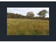96 Browns Lane, Greenlands QLD 4380