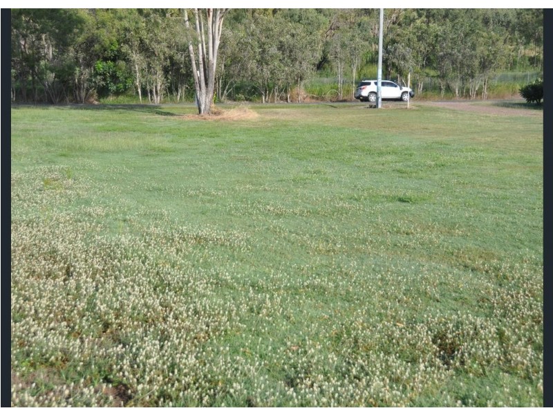 4 Flinders Lane, Clairview QLD 4741