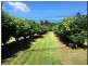 922 Granadilla Road, Granadilla QLD 4855