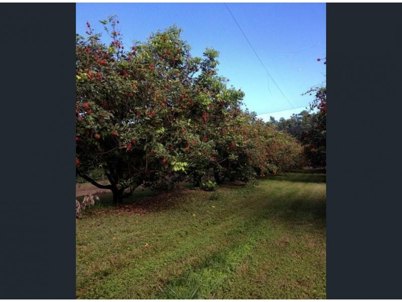 922 Granadilla Road, Granadilla QLD 4855