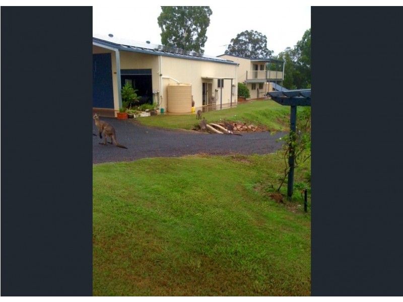 256 BUTCHERS RD, South Isis QLD 4660