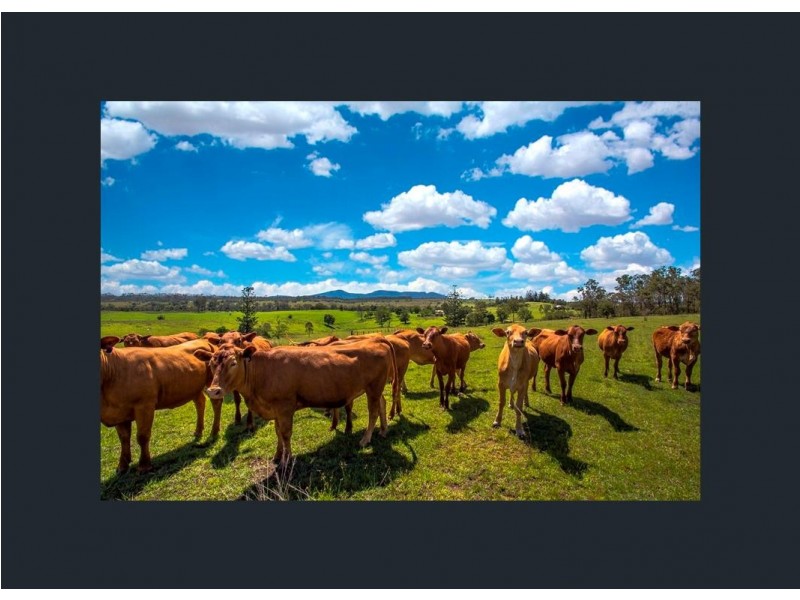250 JESSONS ROAD, Mount Urah QLD 4650