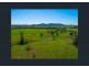 250 JESSONS ROAD, Mount Urah QLD 4650
