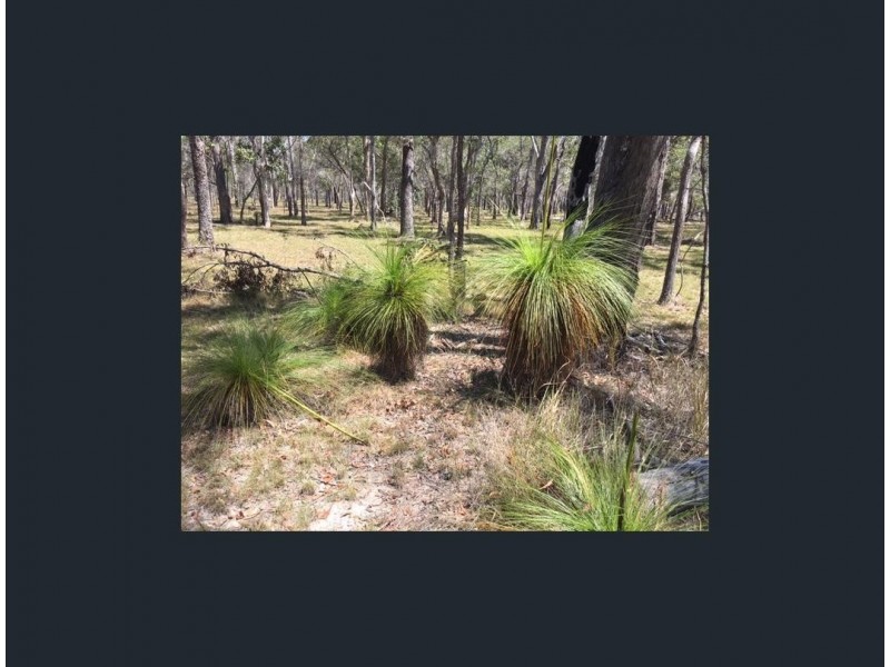 101 Pacific Haven Circuit, Pacific Haven QLD 4659