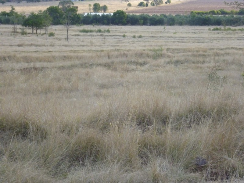 139 TAYLORS ROAD, Kingaroy QLD 4610