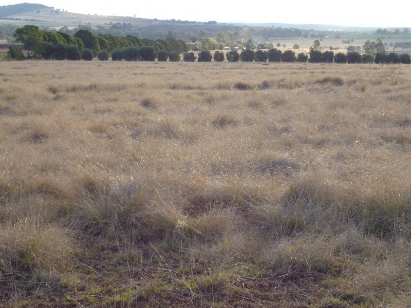 139 TAYLORS ROAD, Kingaroy QLD 4610