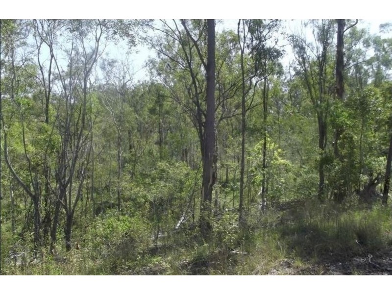 1 Camp Paddock Road, Good Night QLD 4671