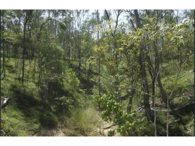 1 Camp Paddock Road, Good Night QLD 4671