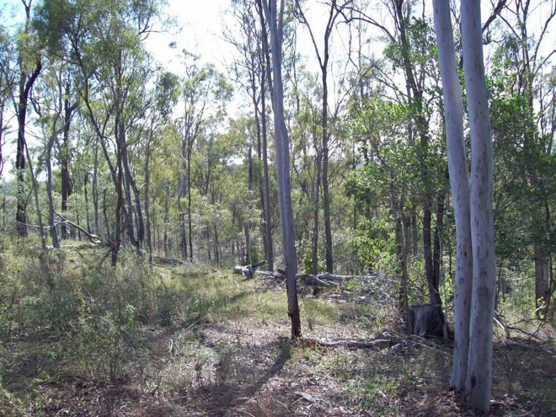 1 Camp Paddock Road, Good Night QLD 4671