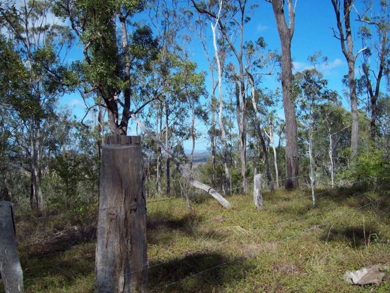 1 Camp Paddock Road, Good Night QLD 4671