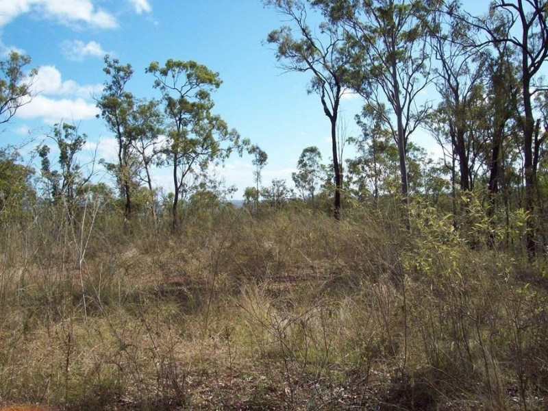 1 Camp Paddock Road, Good Night QLD 4671