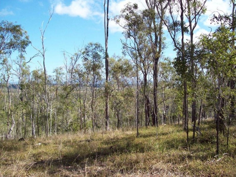 1 Camp Paddock Road, Good Night QLD 4671