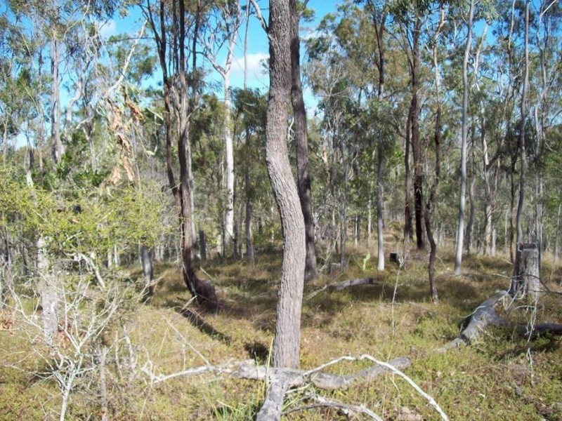 1 Camp Paddock Road, Good Night QLD 4671