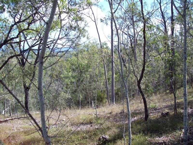 1 Camp Paddock Road, Good Night QLD 4671